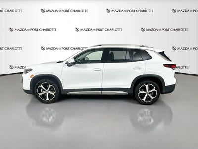 2025 Volkswagen Tiguan SE