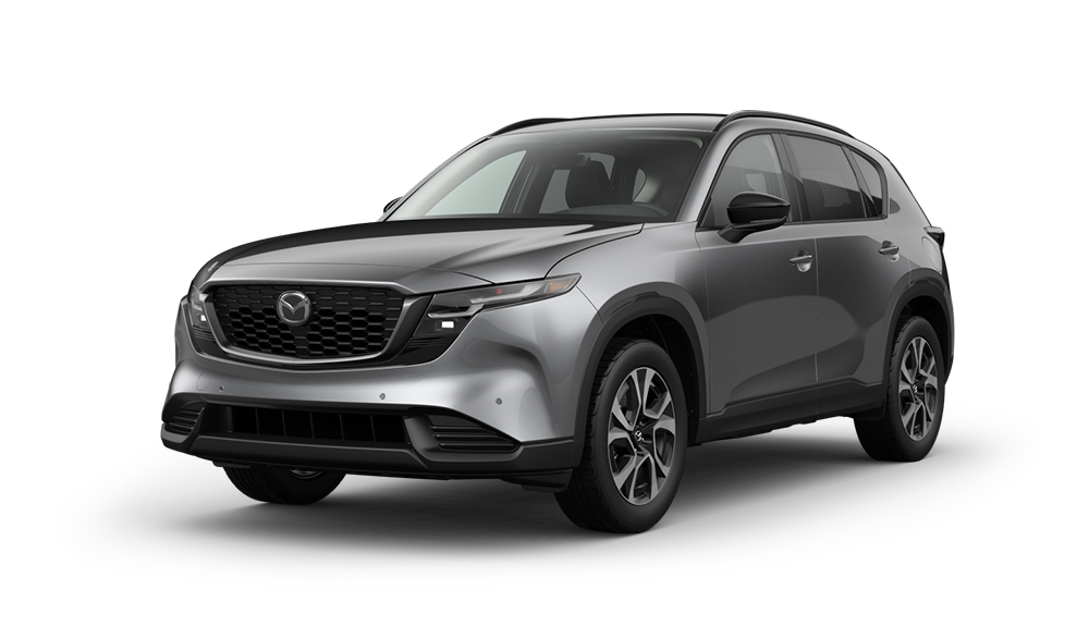 2.5 S PREFERRED | Mazda of Port Charlotte in Port Charlotte FL